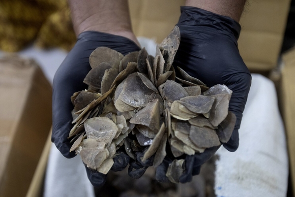 Counterfeit Prevention